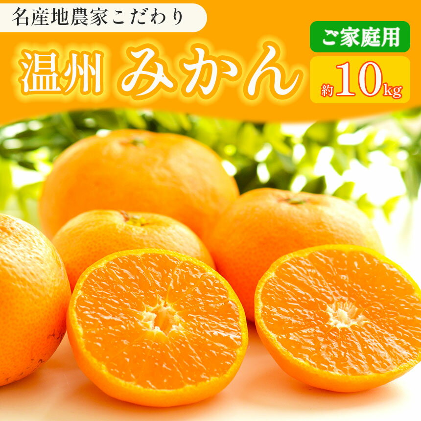 【ふるさと納税】 こだわり 家庭用 みかん 柑橘 ミカン 1
