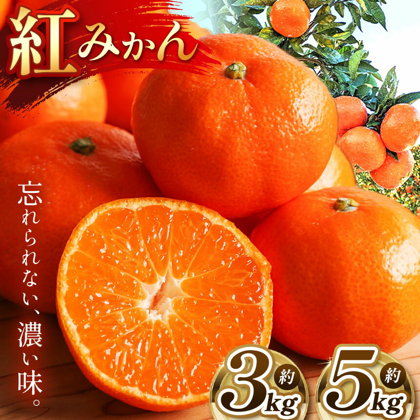 【 ふるさと納税 】 こだわり 紅みかん 柑橘 ミカン 3k
