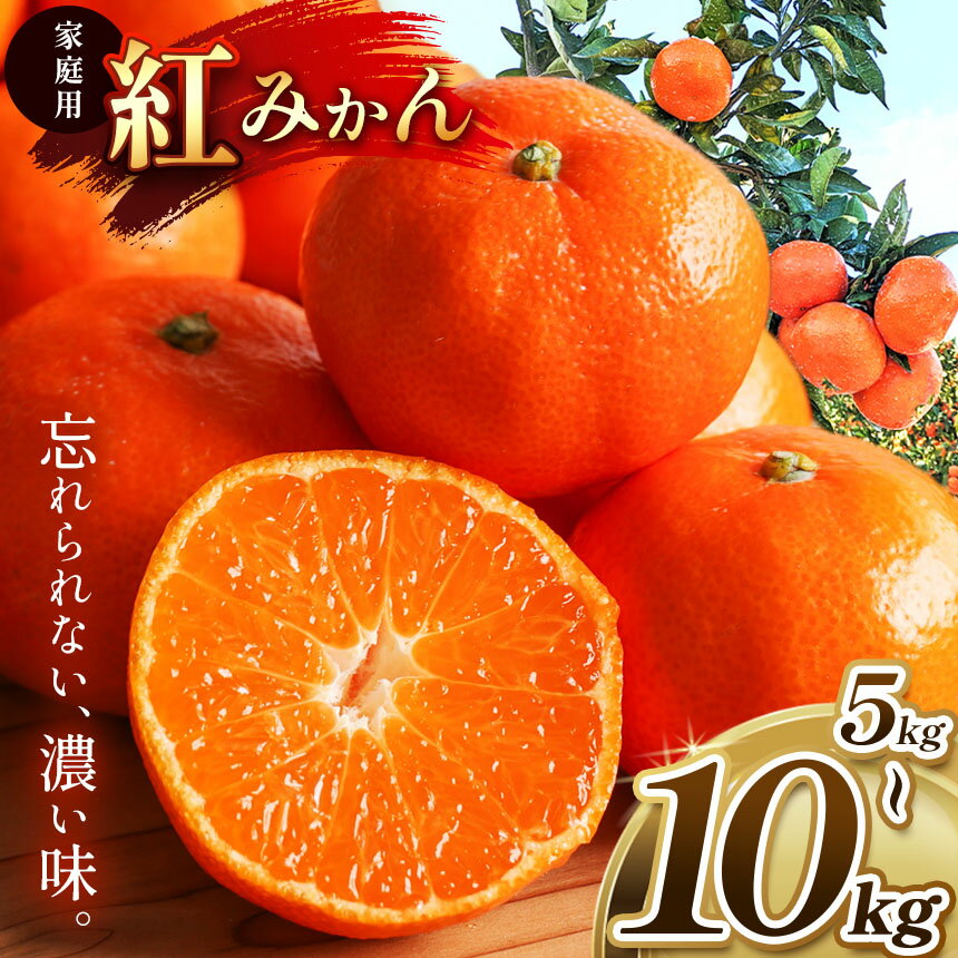 家庭用 紅みかん 柑橘 ミカン 選べる 5kg 10kg | 果物 くだもの フルーツ 柑橘 柑橘類 みかん 紅みかん 玉名 熊本 下田農園 生産者直送 産地直送 熊本玉名 送料無料
