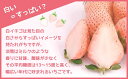 熊本県玉名市の画像3