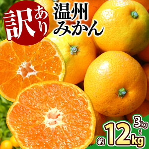 【ふるさと納税】 訳あり みかん 3kg 5kg 9kg 12kg 温州みかん 果物 フルーツ 大容量 家庭用 キズあり 大小混合 産地直送 生産者直送 旬 九州 熊本県 玉名市 送料無料