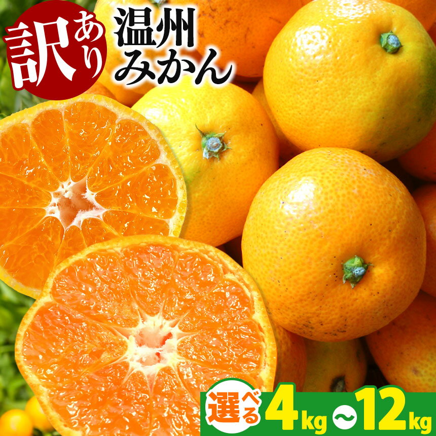 【ふるさと納税】 訳あり みかん 12kg (6kg×2) 温州みかん 果物 フルーツ 大容量 家庭用 キズあり 大小混合 産地直送 生産者直送 旬 九州 熊本県 玉名市 送料無料のサムネイル