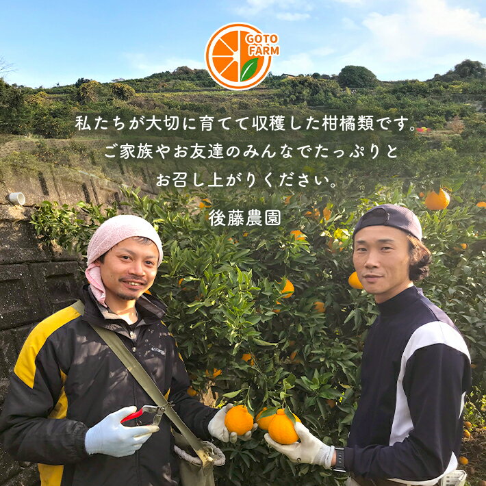 【ふるさと納税】訳あり 柑橘 定期便 3回 みかん9kg 不知火5kg 河内晩柑7kg | 玉名 熊本 生産者直送 みかん 産地直送 家庭用 大小混合 キズあり 熊本県 玉名市 送料無料