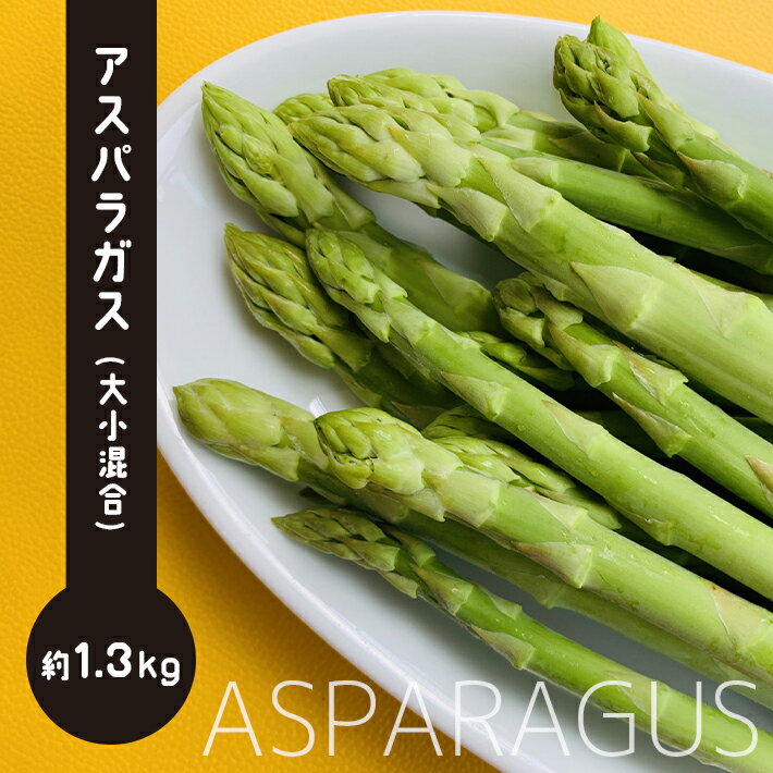 【ふるさと納税】 訳あり アスパラガス 1.3kg アスパラ 野菜 家庭用 産地直送 生産者直送 大小混合 1.3キロ 玉名 熊本 送料無料のサムネイル