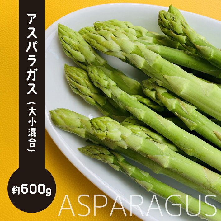 【ふるさと納税】 訳あり アスパラガス 600g アスパラ 野菜 家庭用 産地直送 生産者直送 大小混合 玉名 熊本 送料無料のサムネイル