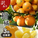 【ふるさと納税】訳あり 柑橘 定期便 3回 みかん9kg 不知火5kg 河内晩柑7kg | 玉名 熊本 生産者直送 みかん 産地直送 家庭用 大小混合 キズあり 熊本県 玉名市 送料無料(4)