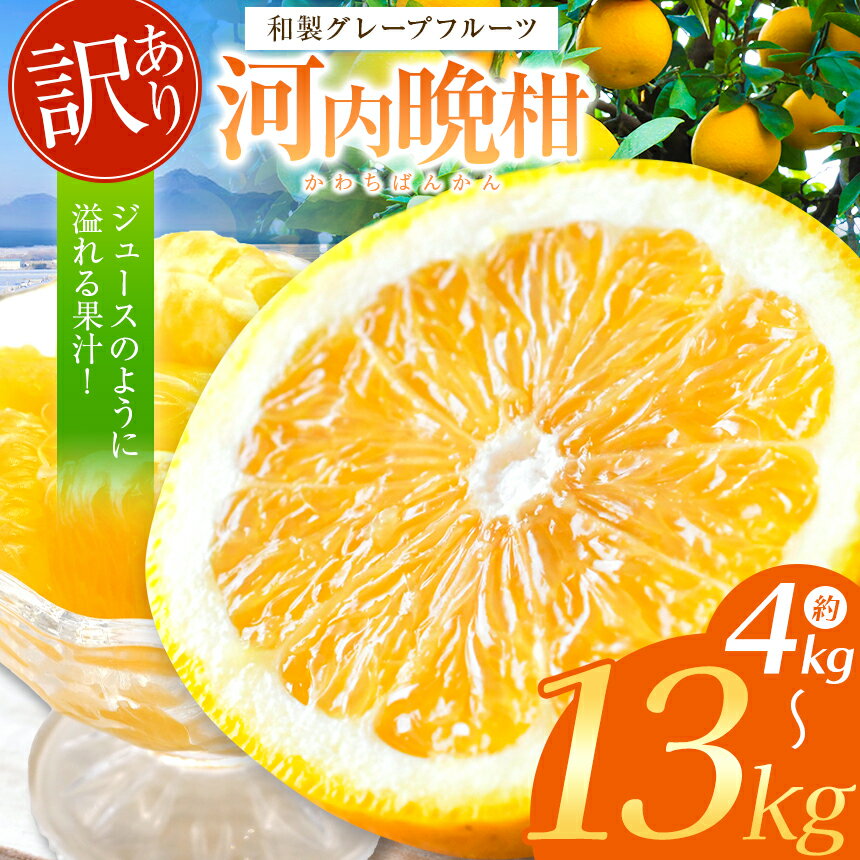 44位! 口コミ数「0件」評価「0」訳あり 河内晩柑 4kg 7kg 13kg 後藤農園 | 柑橘 みかん フルーツ 家庭用 和製 グレープフルーツ 果物 熊本県産 ジューシー･･･ 