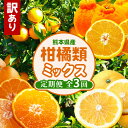 【ふるさと納税】【 定期便 3回 】 おためし 訳あり 柑橘類 定期便 みかん 不知火 河内晩柑 後藤農園 | ミカン 果物 フルーツ 大容量 家庭用 キズあり 大小混合 定期 産地直送 熊本 生産者直送 旬 送料無料 熊本県 玉名市(4)