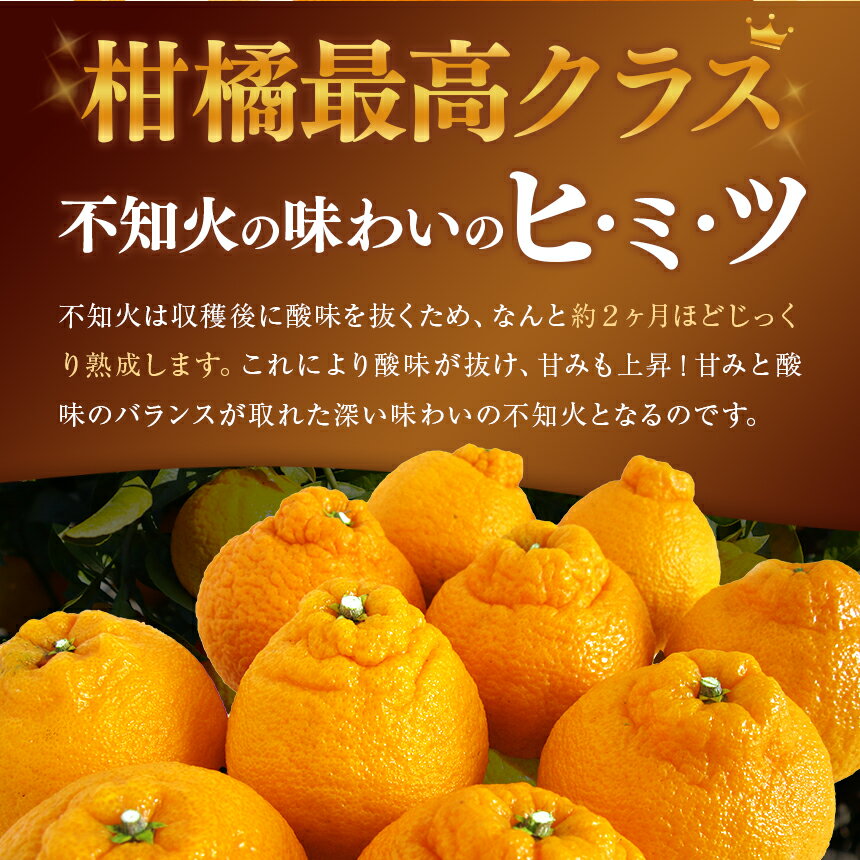 【ふるさと納税】訳あり 不知火 約 3キロ 5キロ 8キロ | 果物 くだもの フルーツ 柑橘 柑橘類 生産者直送 みかん 産地直送 家庭用 大小混合 キズあり 熊本県 玉名市 約 3kg 5kg 8kg 送料無料