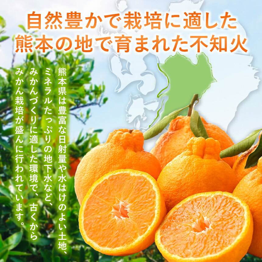 【ふるさと納税】訳あり 不知火 約 3キロ 5キロ 8キロ | 果物 くだもの フルーツ 柑橘 柑橘類 生産者直送 みかん 産地直送 家庭用 大小混合 キズあり 熊本県 玉名市 約 3kg 5kg 8kg 送料無料