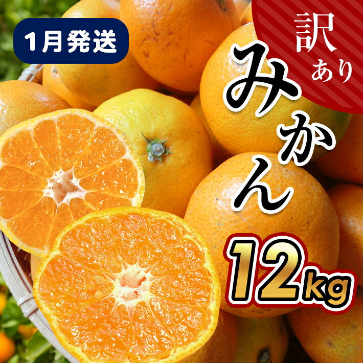 【ふるさと納税】訳あり 柑橘 定期便 3回 みかん12kg 不知火8kg 河内晩柑10kg 生産者直送 みかん 産地直送 家庭用 大小混合 キズあり 熊本県 玉名市 送料無料