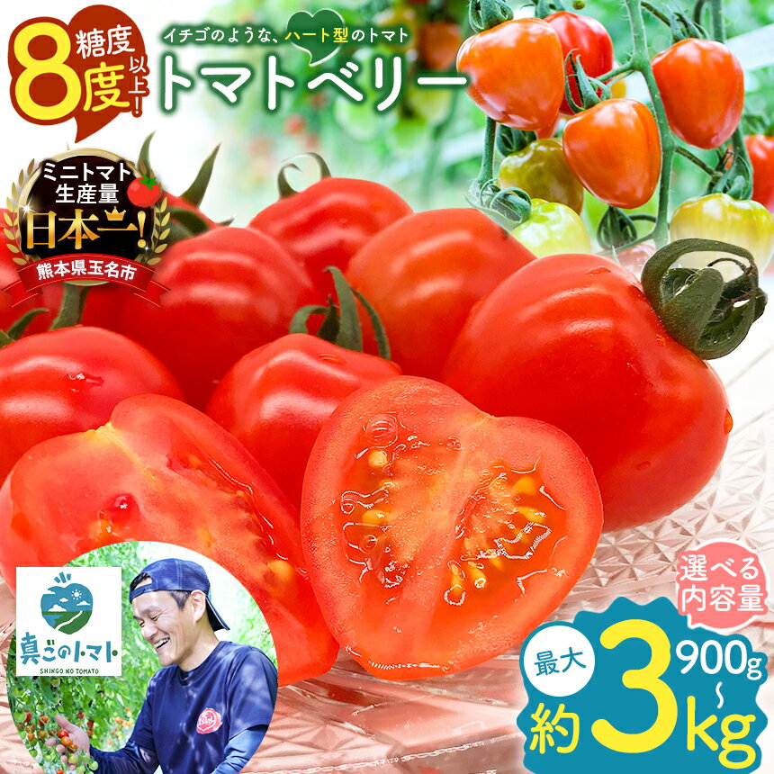 21位! 口コミ数「7件」評価「4.29」 ミニトマト トマトベリー 約 900g ・ 1.8kg ・ 3kg 生産量 日本一 玉名市 | 希少 プチトマト 熊本 玉名