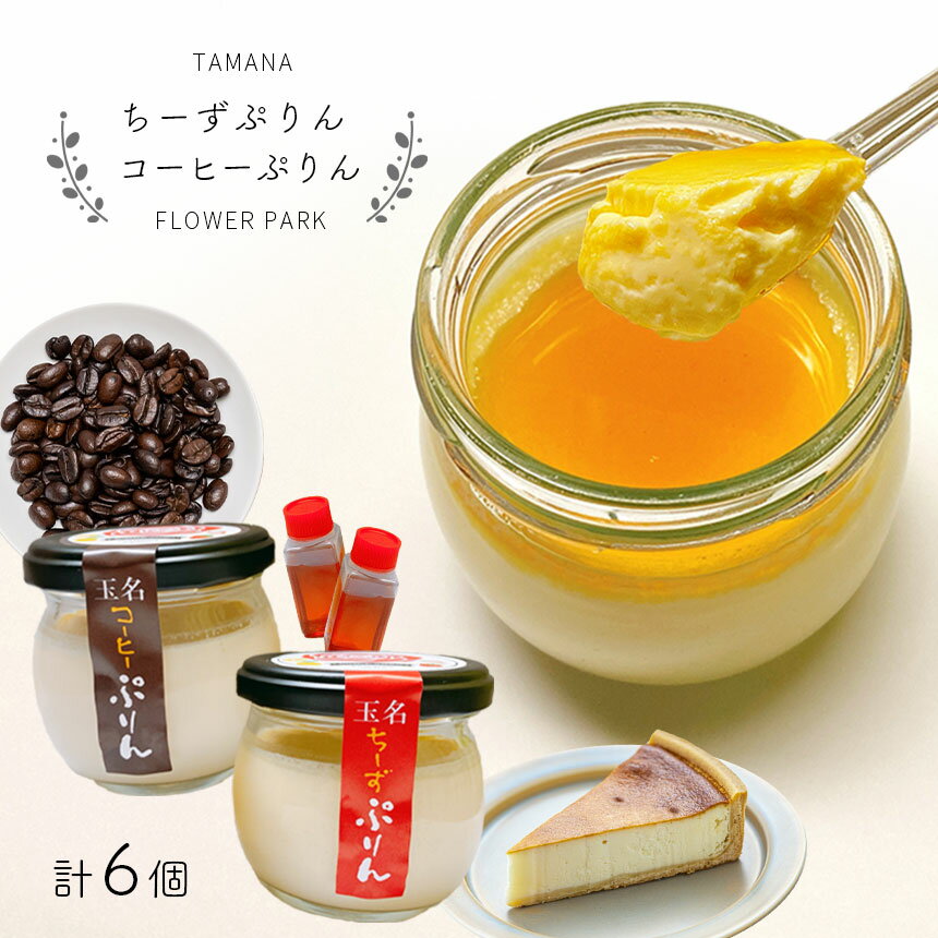 1位! 口コミ数「0件」評価「0」お菓子 プリン スイーツ チーズ コーヒー チーズプリン コーヒープリン 各3個 合計6個 たまなフラワーパーク 熊本 玉名 送料無料