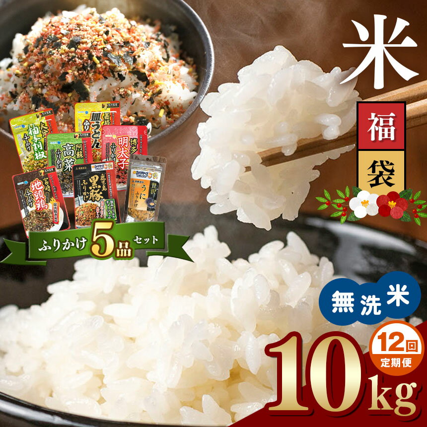 【ふるさと納税】＜定期便12回＞ 無洗米 10kg 10キロ