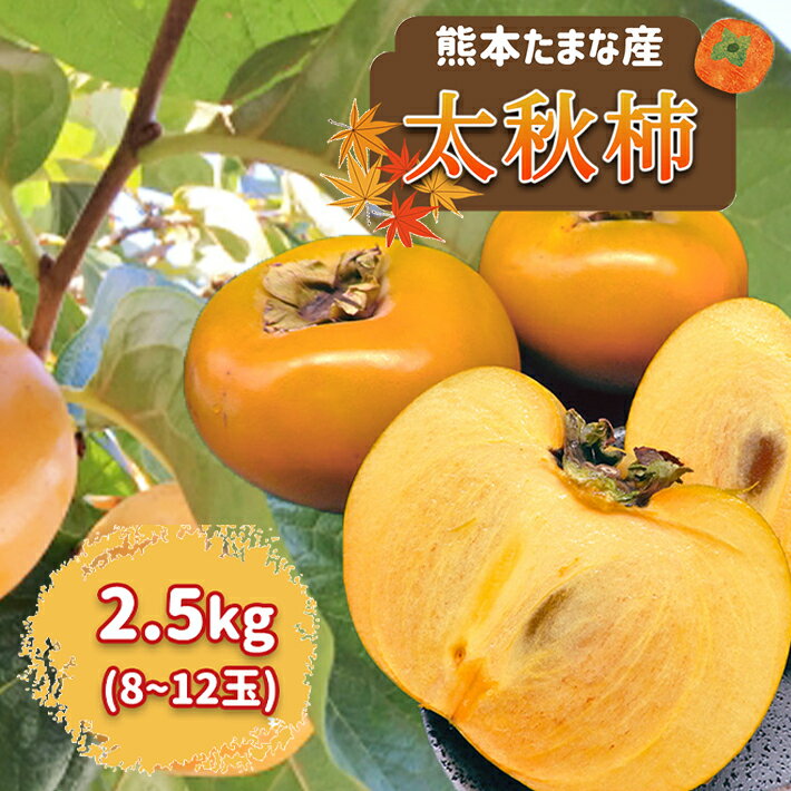 柿 【ふるさと納税】柿 太秋柿 約 2.5kg 果物 フルーツ 秋 旬 送料無料 熊本 玉名 産地直送 生産者直送