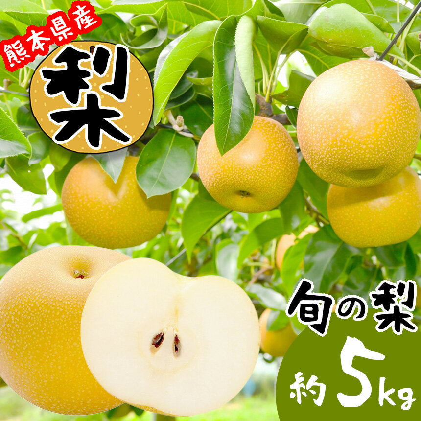 【ふるさと納税】旬 の 梨 5kg 果物 フルーツ 幸水 豊