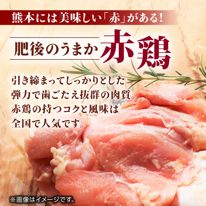 【ふるさと納税】【3回定期便】肥後のうまか 赤鶏 5種食べ比べセット（もも、ささみ、むね肉、手羽中、天玉チキン）【山内飼料 株式会社 熊本営業所】[ZAB006]