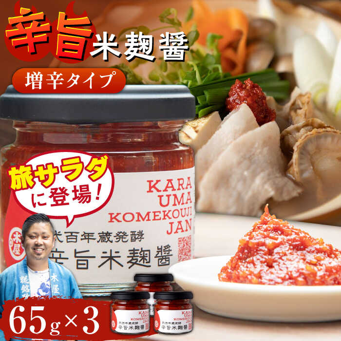 30位! 口コミ数「0件」評価「0」辛旨 米麹 醤シリーズ 〈増辛タイプ〉（65g×3）【有限会社 木屋食品工業】[ZAD021]