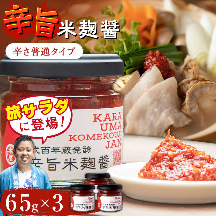 22位! 口コミ数「0件」評価「0」辛旨 米麹 醤シリーズ 〈辛さ普通タイプ〉（65g×3）【有限会社 木屋食品工業】[ZAD022]