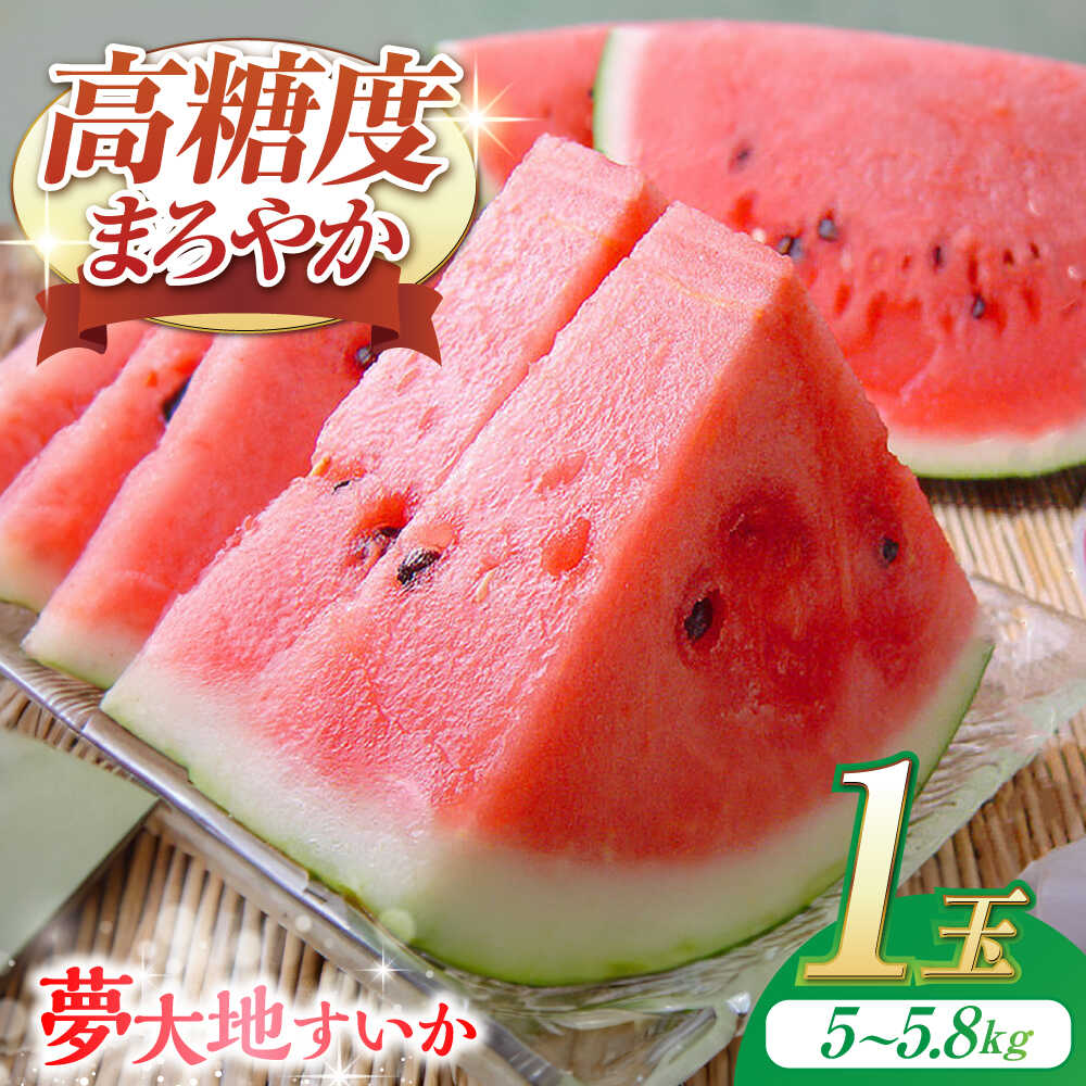 夢大地かもと すいか 1玉 Mサイズ（約5～5.8kg）【鹿本農業協同組合】[ZAG010]