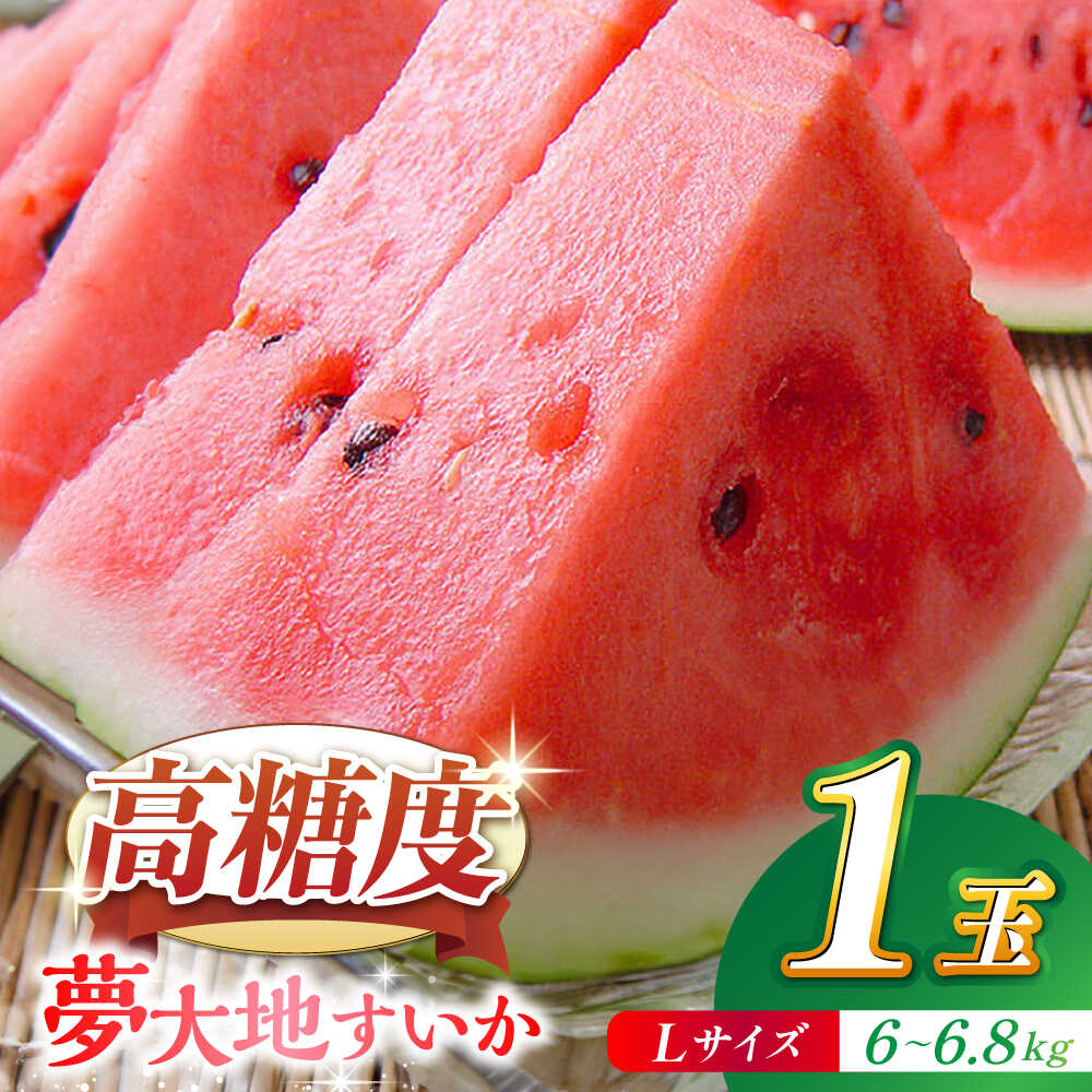 【ふるさと納税】【先行予約】【数量限定】夢大地すいか1玉 Lサイズ（6kg～6.8kg）【鹿本農業協同組合】[ZAG013]のサムネイル