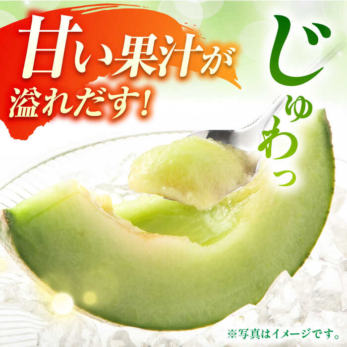 【ふるさと納税】【数量限定】【先行予約】肥後グリーンメロン 約2kg（2玉）【鹿本農業協同組合】[ZAG014]