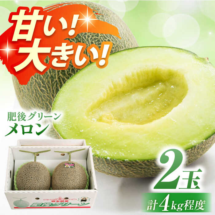 【ふるさと納税】【数量限定】【先行予約】肥後グリーンメロン 約2kg（2玉）【鹿本農業協同組合】[ZAG014]