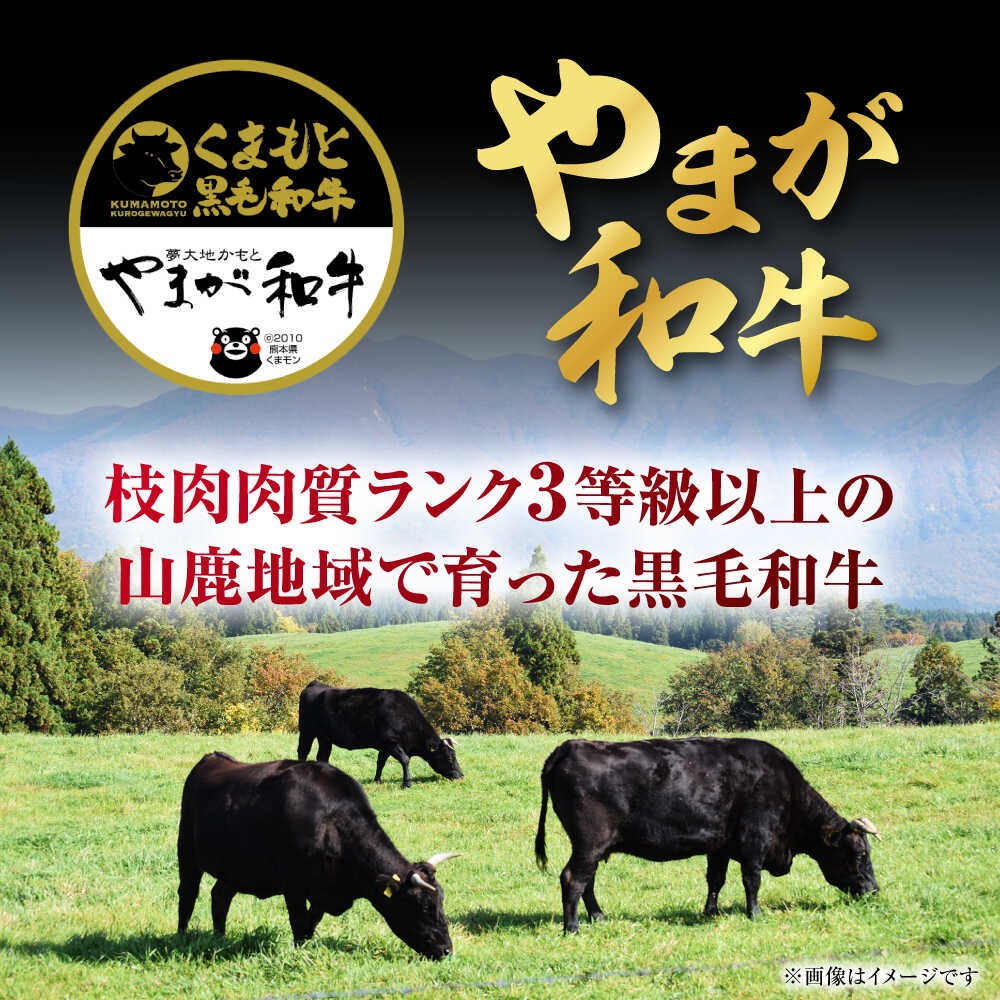 【ふるさと納税】やまが和牛 しゃぶしゃぶ 肩 1kg 黒毛和牛 和牛 牛肉 お肉 肉 【鹿本農業協同組合】[ZAG017] f432083-yamaga-10003311 熊本県山鹿市 サンプル画像2