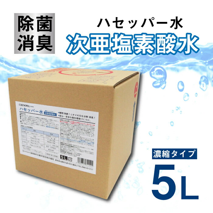 1位! 口コミ数「0件」評価「0」【次亜塩素酸水】ハセッパー水5L容器ノズル付き300ml空ボトル付【株式会社 地の塩社】[ZAN005]