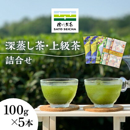 【数量限定】深蒸し茶 上級茶 詰合せ 100g×5本セット 【有限会社 佐とう製茶】[ZAS001]