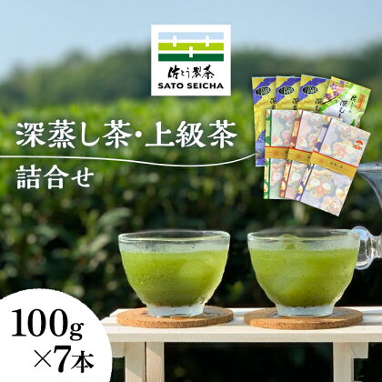 【数量限定】深蒸し茶 上級茶 詰合せ 100g×7本セット 【有限会社 佐とう製茶】[ZAS002]