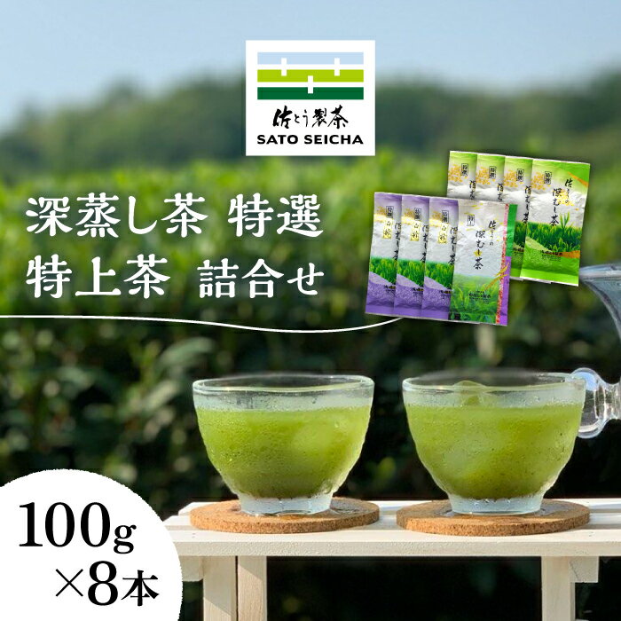 [数量限定]深蒸し茶 特選 ・ 特上茶 詰合せ 100g×8本セット [有限会社 佐とう製茶]