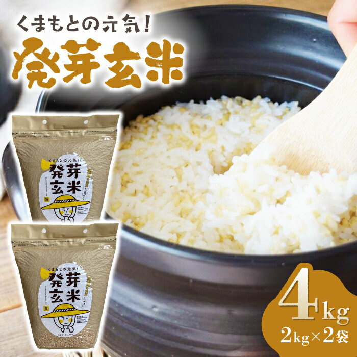 【ふるさと納税】【金賞受賞米使用】くまもとの元気！発芽玄米 2kg×2袋【株式会社 れんげ・カンパニー】[ZAX003] お米 米 玄米 国産 ご飯 酵素 食物繊維 熊本県産 真空パック