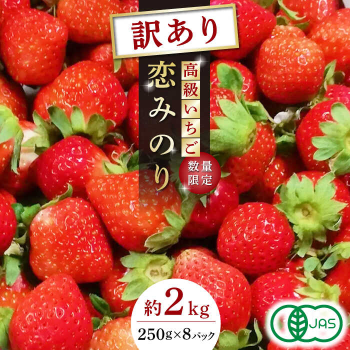 【ふるさと納税】【訳あり】【先行予約】高級 いちご 恋みのり 約2000g（250g×8pc）【伊藤農園】[ZBB012]