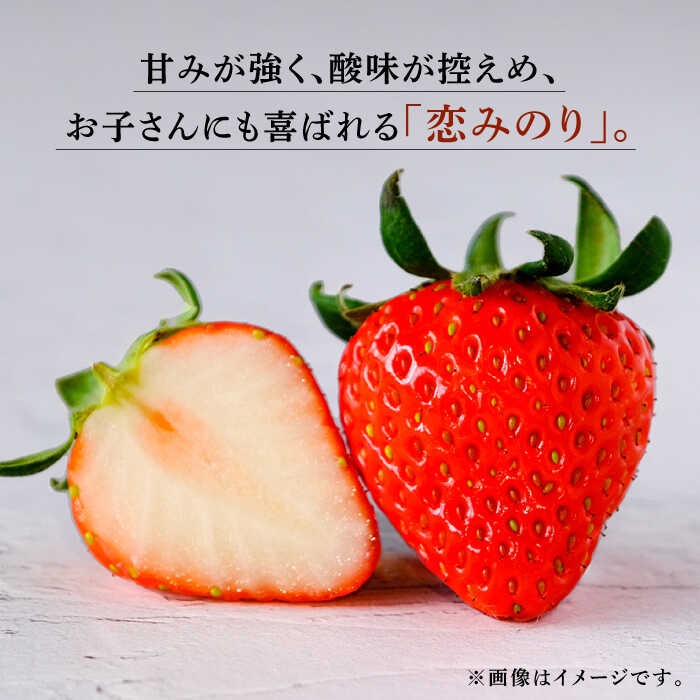 【ふるさと納税】【訳あり】【先行予約】【2回定期便】高級 いちご 恋みのり 約1000g（250g×4pc）【伊藤農園】[ZBB013]