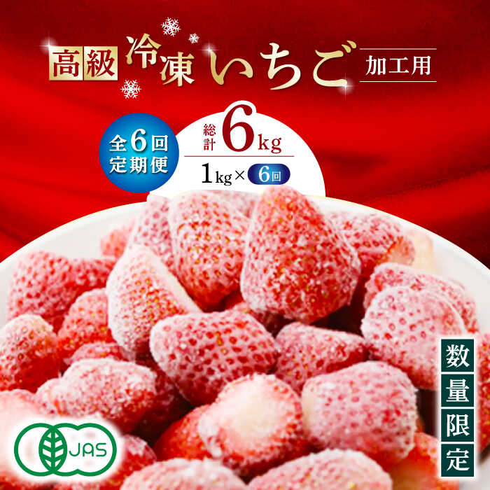 【ふるさと納税】【6回定期便】【数量限定】高級 冷凍 いちご 加工用 約1.5kg【伊藤農園】[ZBB016]