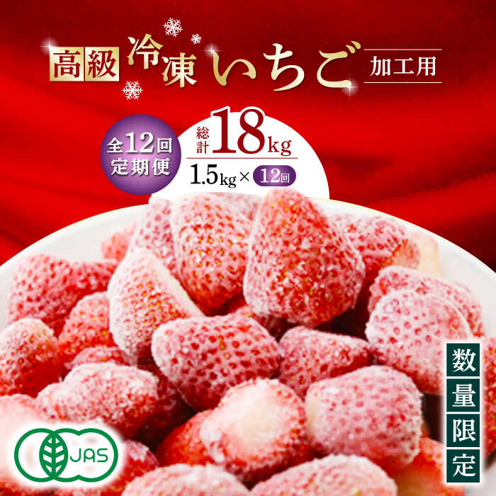 【ふるさと納税】【12回定期便】【数量限定】高級 冷凍 いちご 加工用 約1.5kg【伊藤農園】[ZBB017]