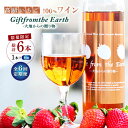【ふるさと納税】【6回定期便】【数量限定】高級 いちご 100%ワイン Giftfromthe Earth -大地からの贈り物- オーガニック【伊藤農園】[ZB...