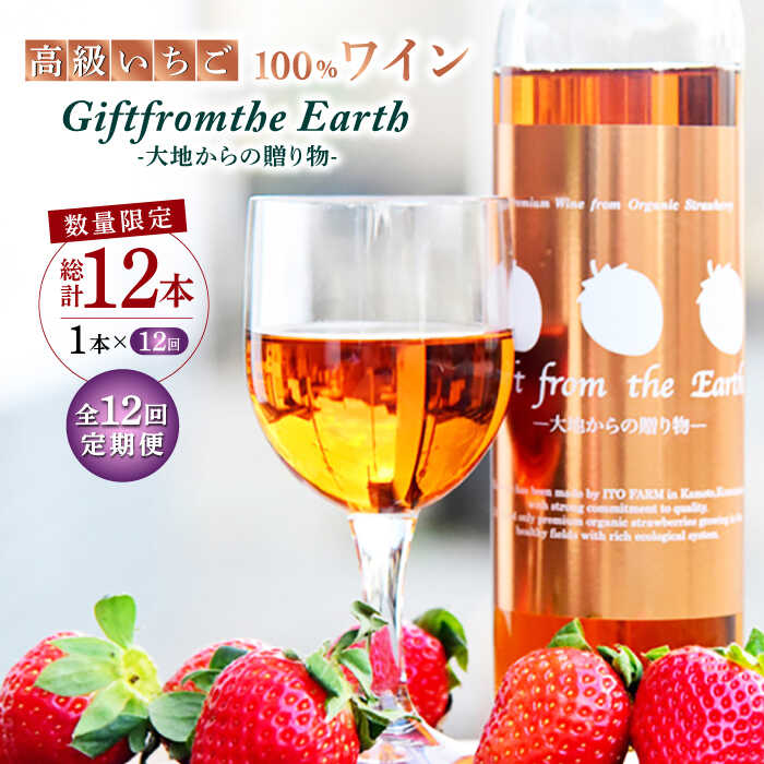 【ふるさと納税】【12回定期便】【数量限定】高級 いちご 100％ワイン Giftfromthe Earth -大地からの贈り物- オーガニック【伊藤農園】[ZBB020]