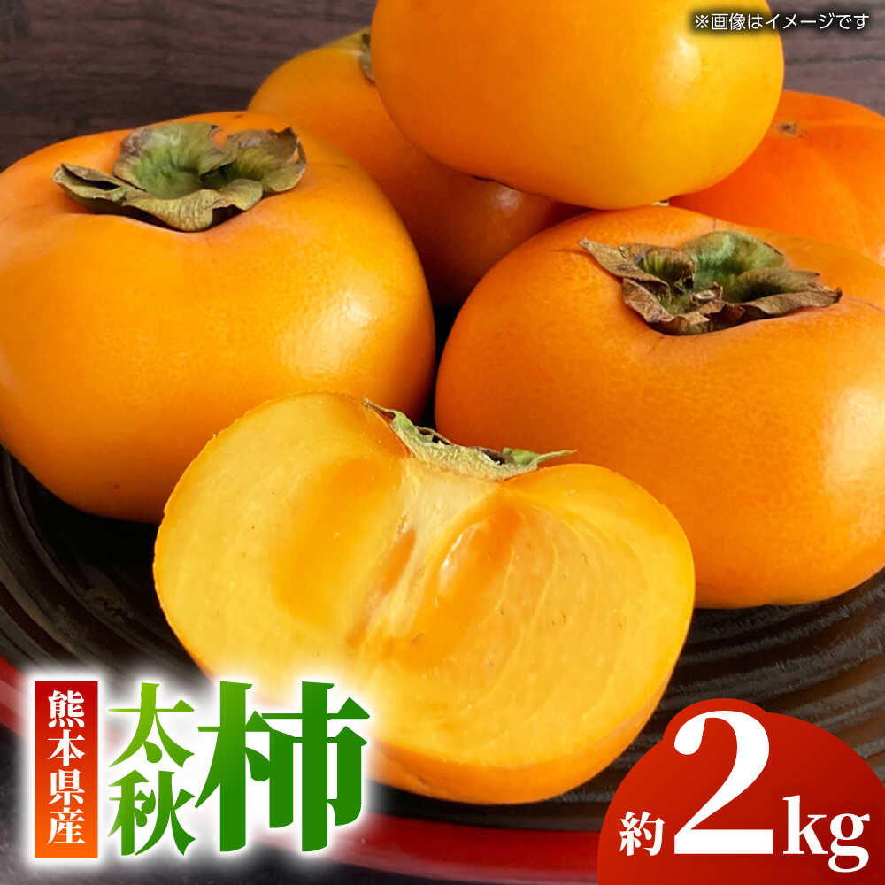 [先行予約][数量限定]太秋 柿 約2kg[くまふる]