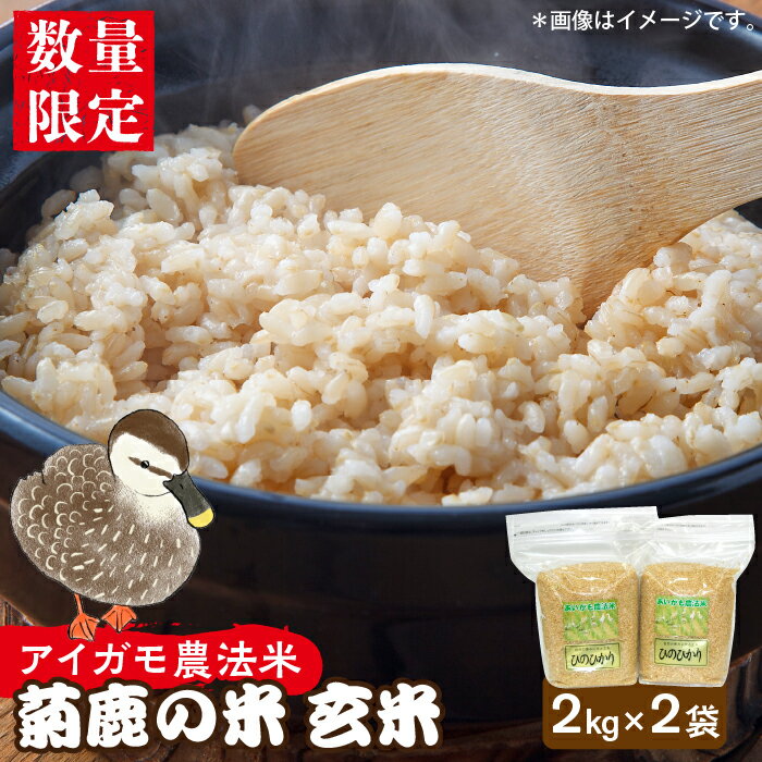 [数量限定]菊鹿の米 アイガモ農法米 玄米 2kg×2袋[有限会社 あそしな米穀]