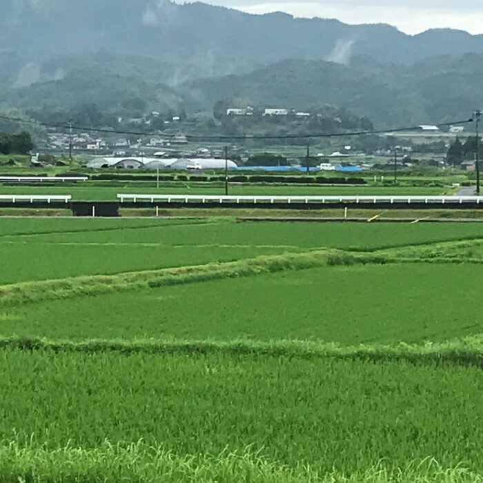 【ふるさと納税】にこまる 無洗米 5kg×2袋【有限会社 あそしな米穀】[ZBI014]