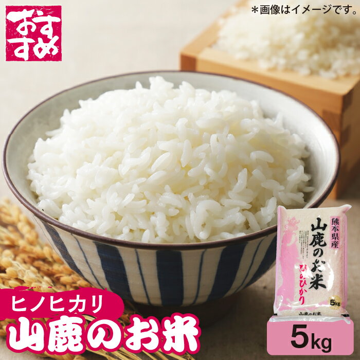 【ふるさと納税】山鹿のお米 ヒノヒカリ 5kg【有限会社 あそしな米穀】[ZBI015]