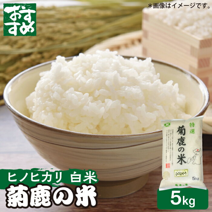 【ふるさと納税】菊鹿の米 ヒノヒカリ 5kg【有限会社 あそしな米穀】[ZBI016]