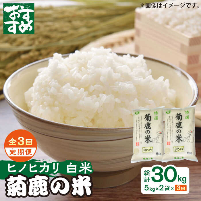 【ふるさと納税】【3回定期便】菊鹿の米 ヒノヒカリ 白米 5kg×2袋【有限会社 あそしな米穀】[ZBI017]