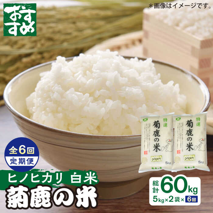 【ふるさと納税】【6回定期便】菊鹿の米 ヒノヒカリ 白米 5kg×2袋【有限会社 あそしな米穀】[ZBI022]