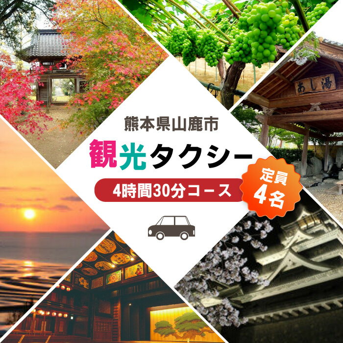 【ふるさと納税】山鹿市 観光タクシー 4時間30分コース【肥後第一交通 株式会社 】[ZBJ003] 貸切フリー利用券 チケット 旅行 熊本県