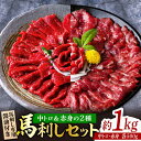 【ふるさと納税】赤身 & 霜降りの「2種食べ比べセット 」【株式会社 利他フーズ】[ZBK008]