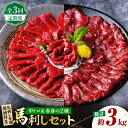 【ふるさと納税】【3回定期便】赤身 & 霜降りの「2種食べ比べセット 」 馬刺し 赤身 約50g×10パック 中トロ 約50g×10パック 専用醤油付き 国産 ...