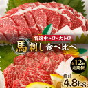【ふるさと納税】【12回定期便】特選霜降り馬刺し 中トロ大トロ2種食べ比べセット 計400g(各2pc)+タレ大 馬刺し 特選霜降り馬刺し 馬刺し 馬肉 桜肉 ...